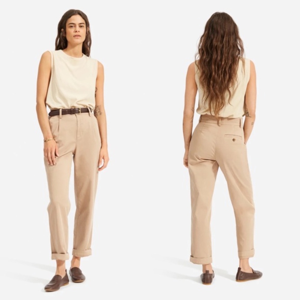 Everlane The Pleated Chino in Khaki